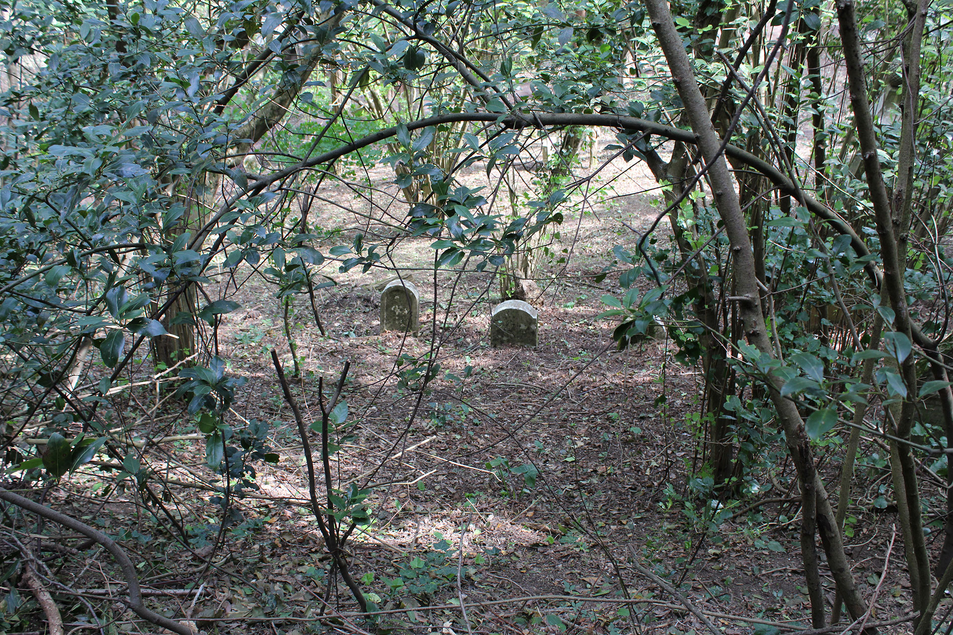 cimitero-siena-1