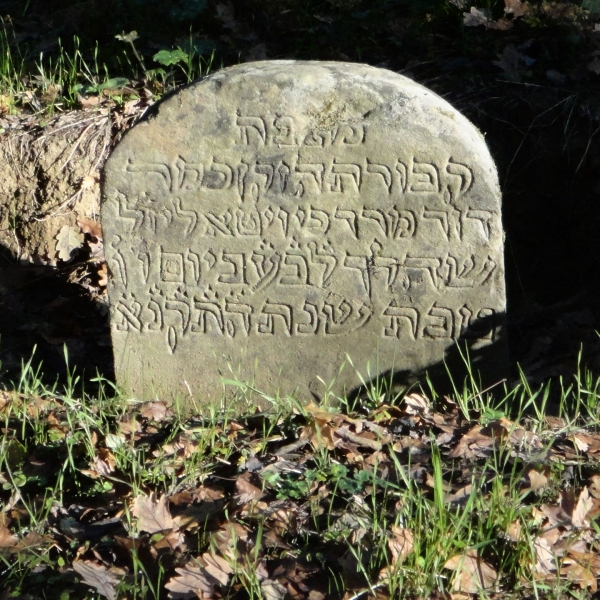 Cimitero di Monte San Savino